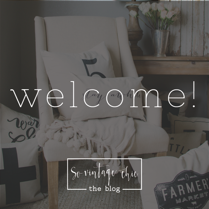 Welcome to the SVC Blog! An Introduction + a Discount Code!