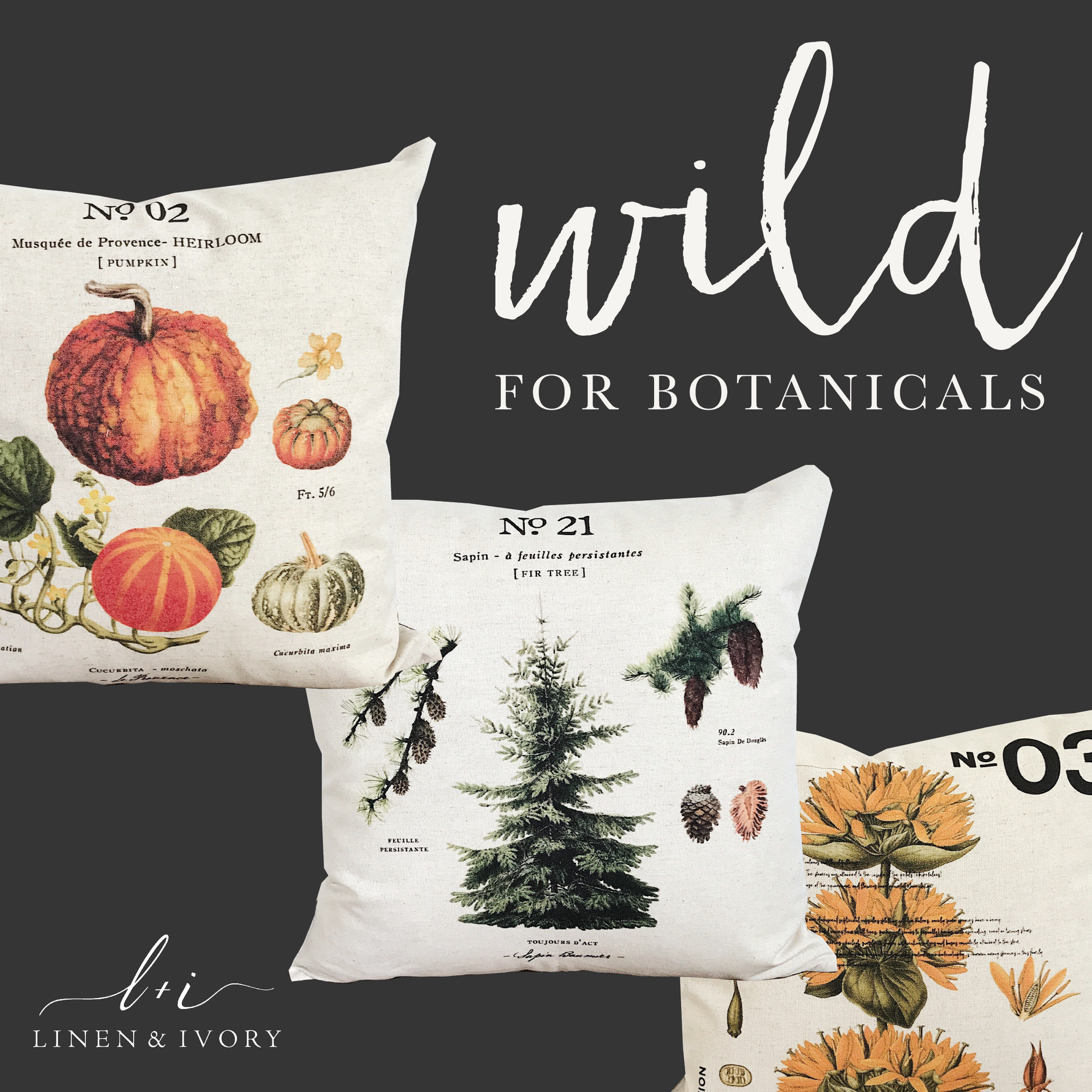 Modern Farmhouse Decor-Botanical PIllow Collection