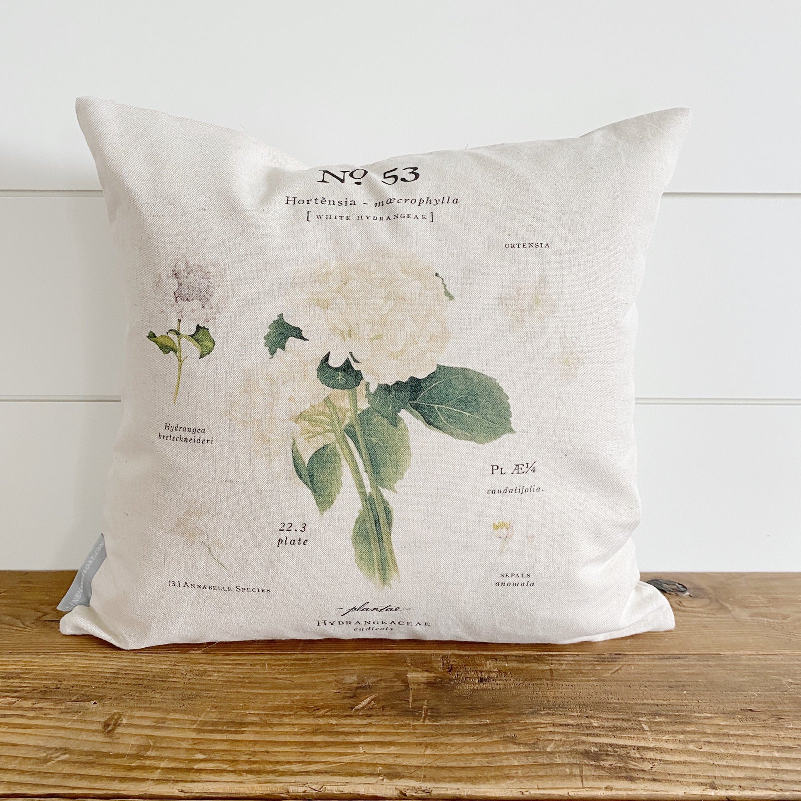 Hydrangea Botanical Pillow Cover (White) - Linen and Ivory