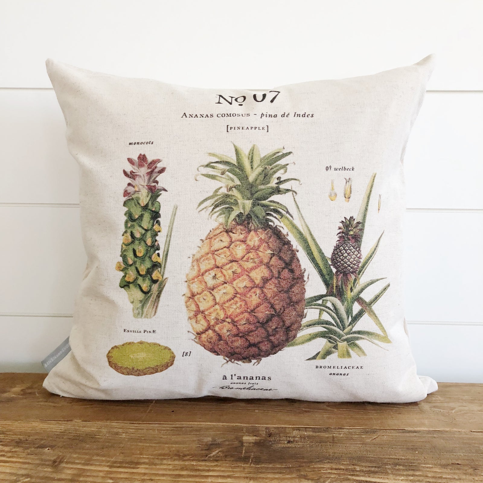 Pineapple Botanical Pillow Cover