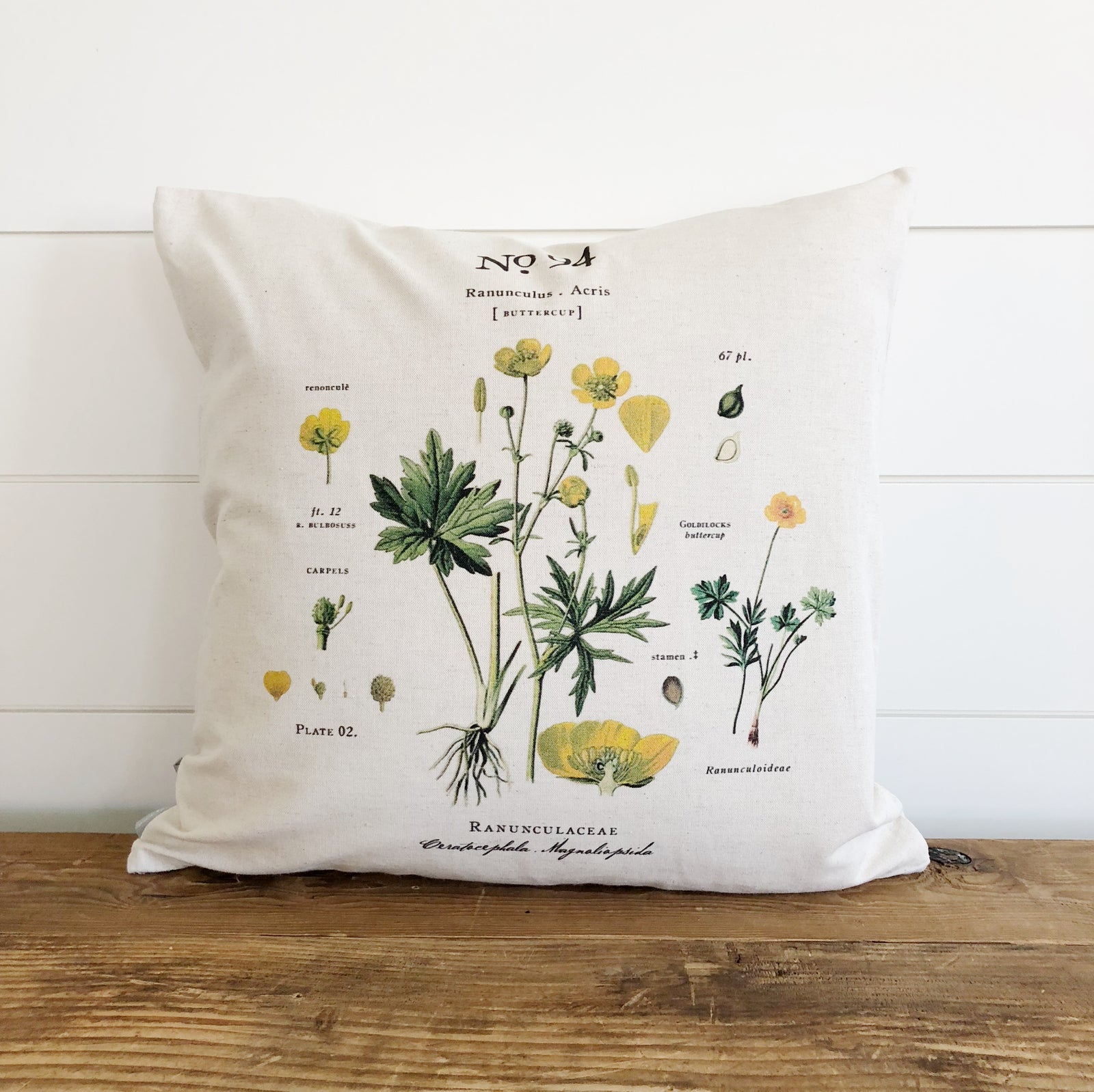 Buttercup Botanical Pillow Cover