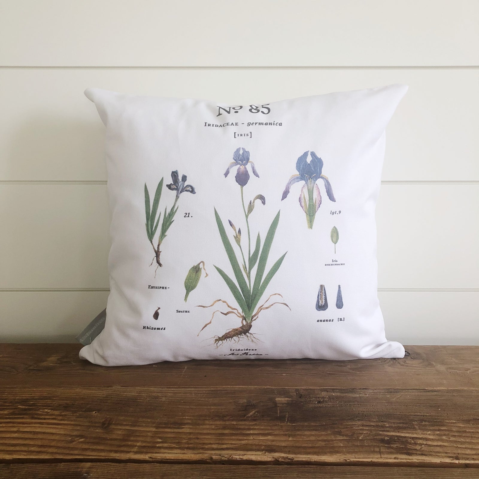 Iris Botanical Pillow Cover