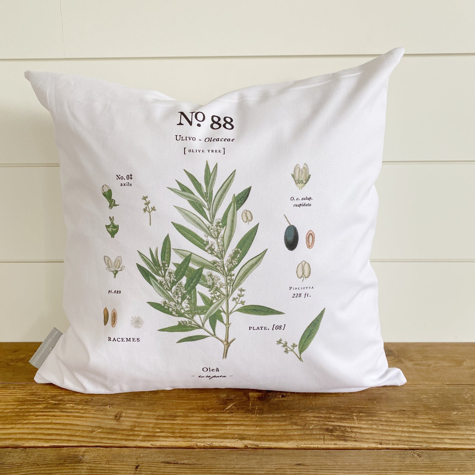 Olive Tree Botanical Pillow Cover - Linen and Ivory
