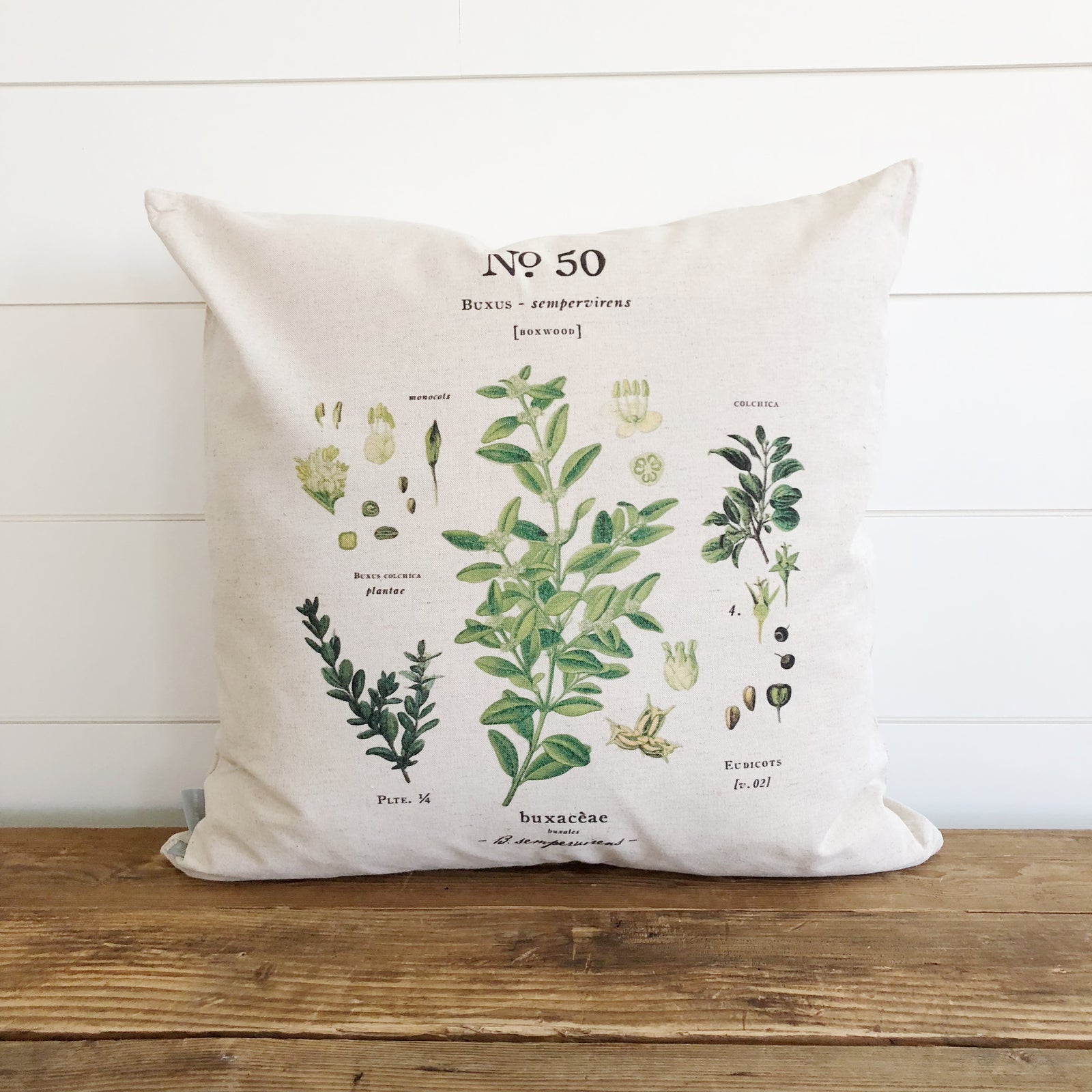 Boxwood Botanical Pillow Cover