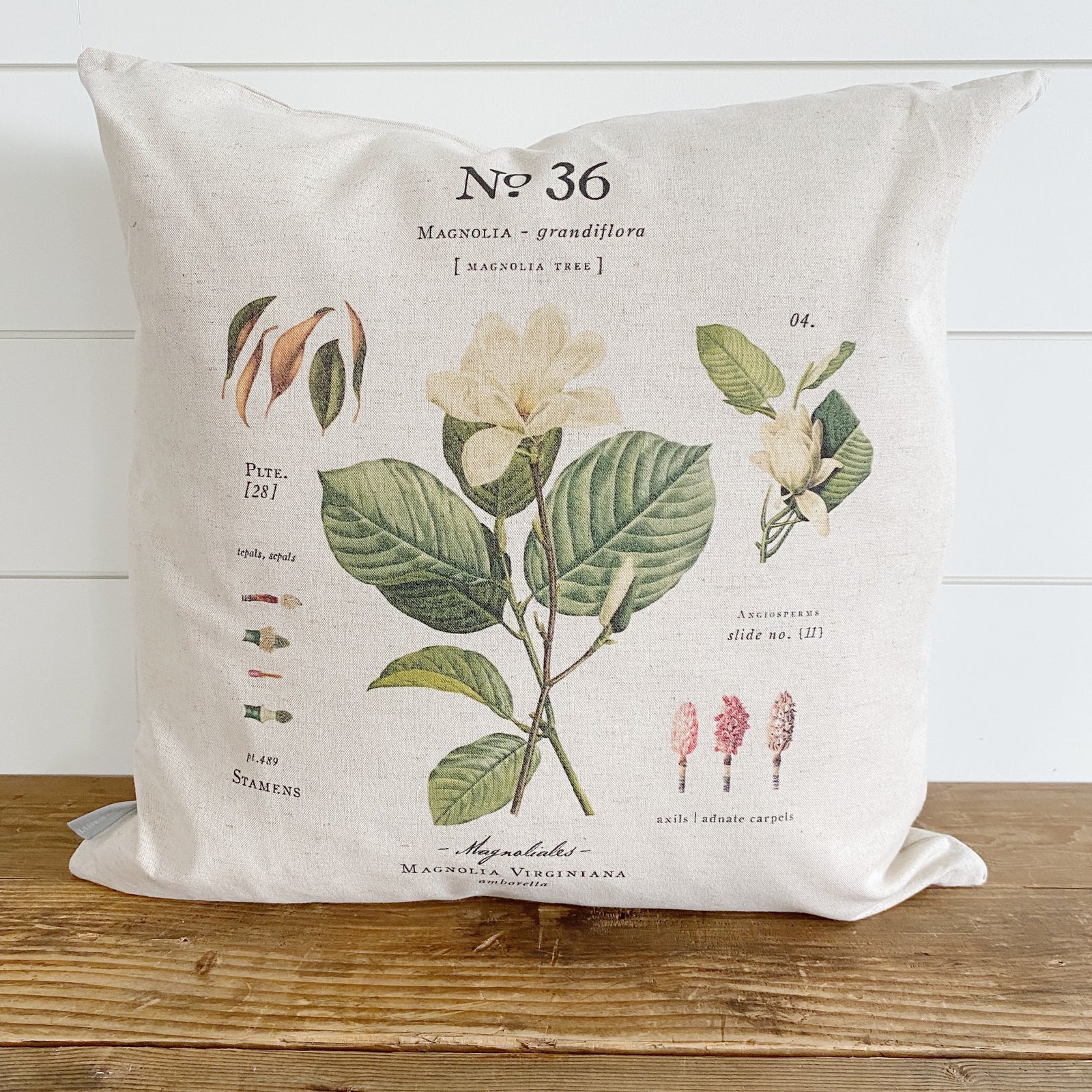 Magnolia Botanical Pillow Cover