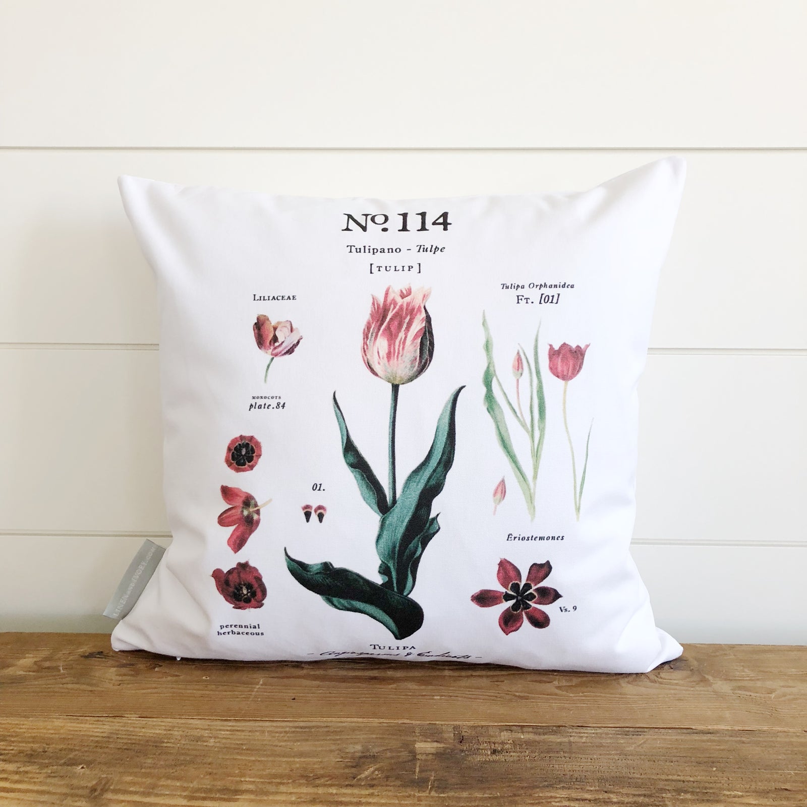Tulip Botanical Pillow Cover