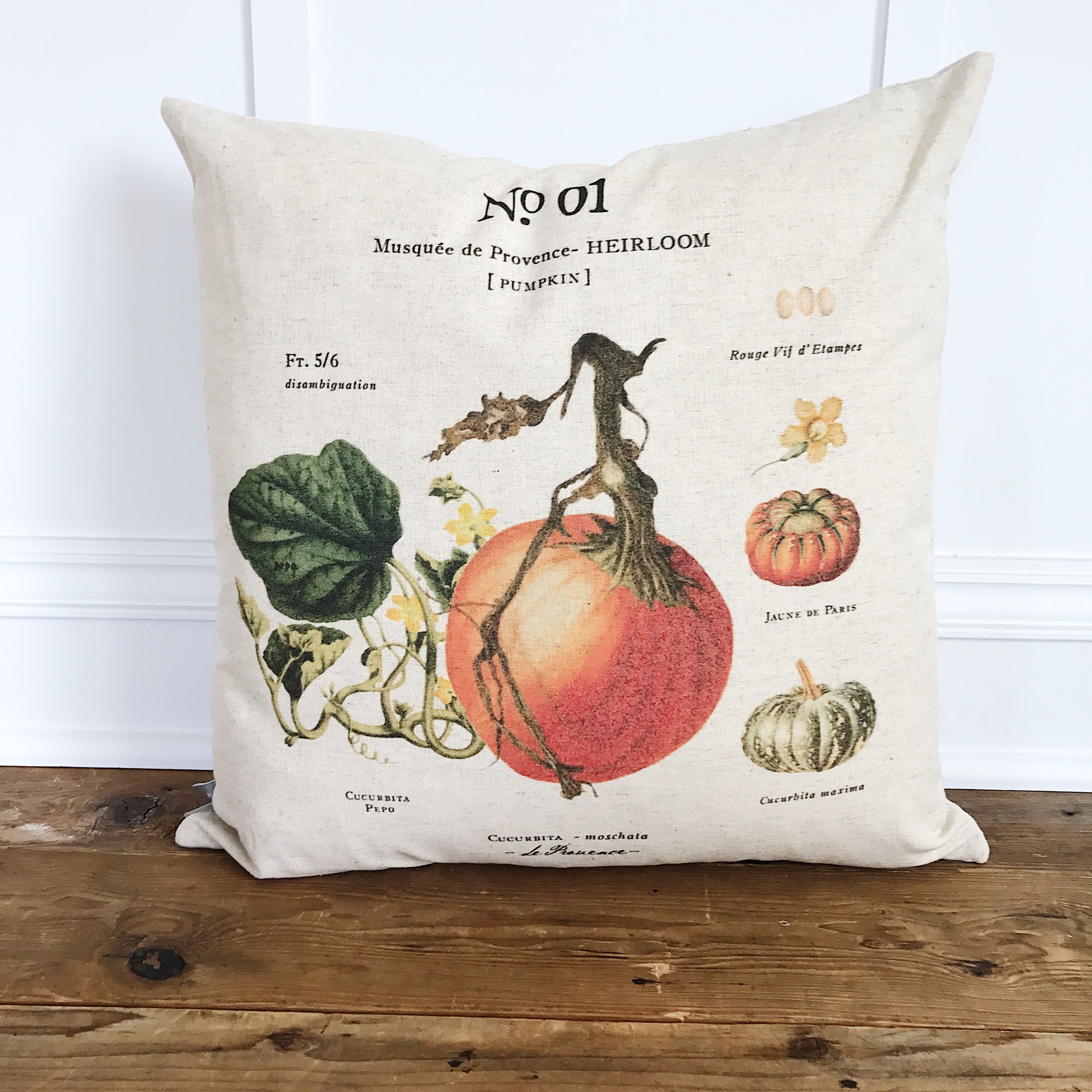 Pumpkin Botanical Pillow Cover (Design 1) - Linen and Ivory