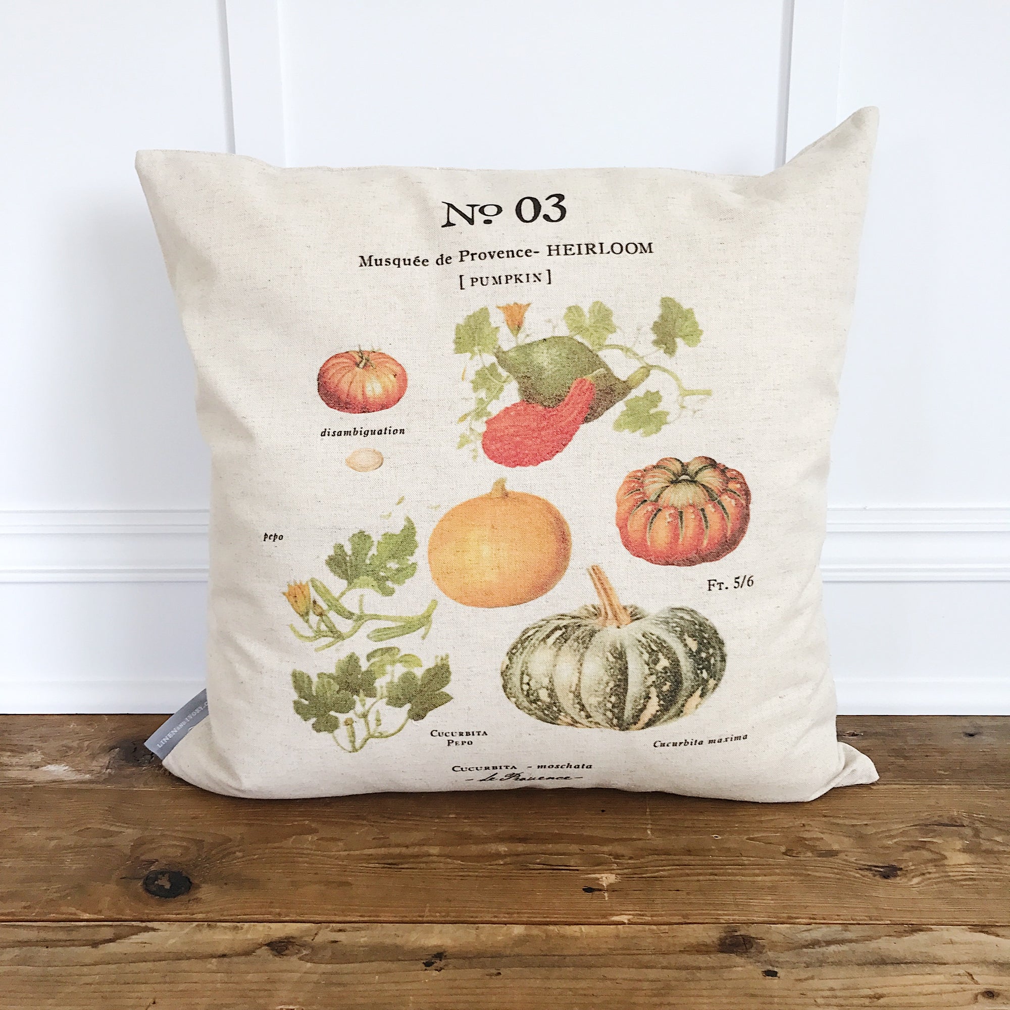 Pumpkin Botanical Pillow Cover (Design 3) - Linen and Ivory
