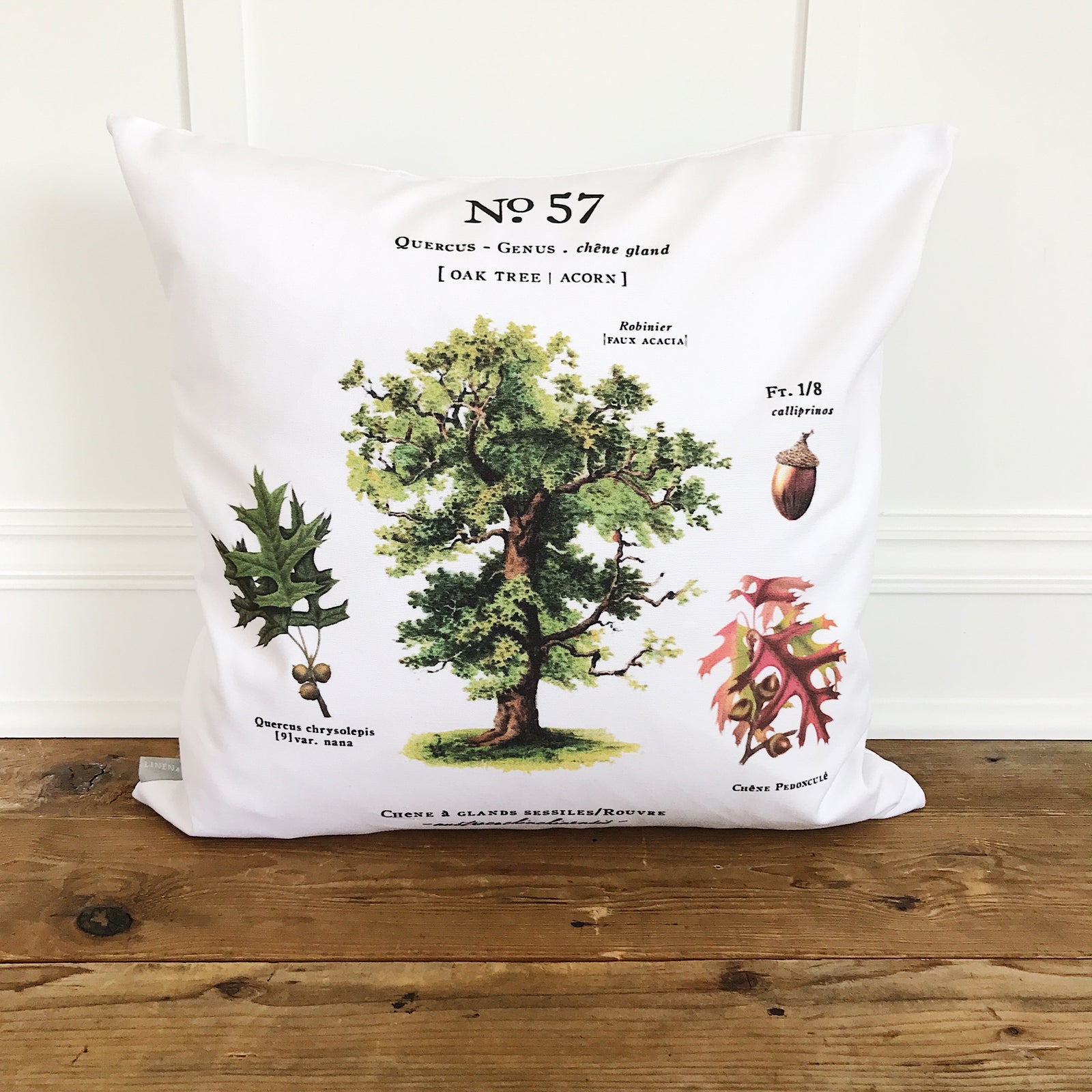 Oak Tree Botanical Pillow Cover - Linen and Ivory