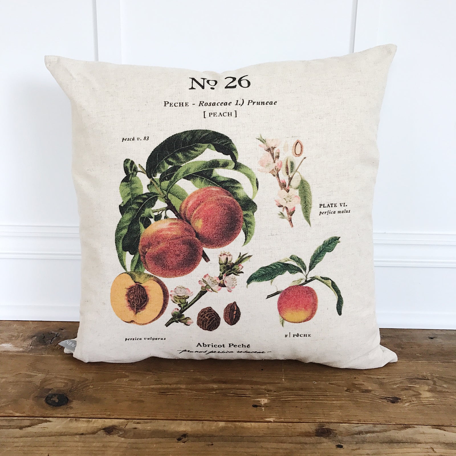 Peach Botanical Pillow Cover