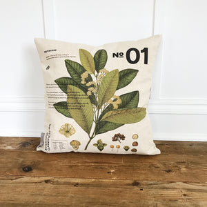 Modern Botanical 1 Pillow Cover (No Background) - Linen and Ivory