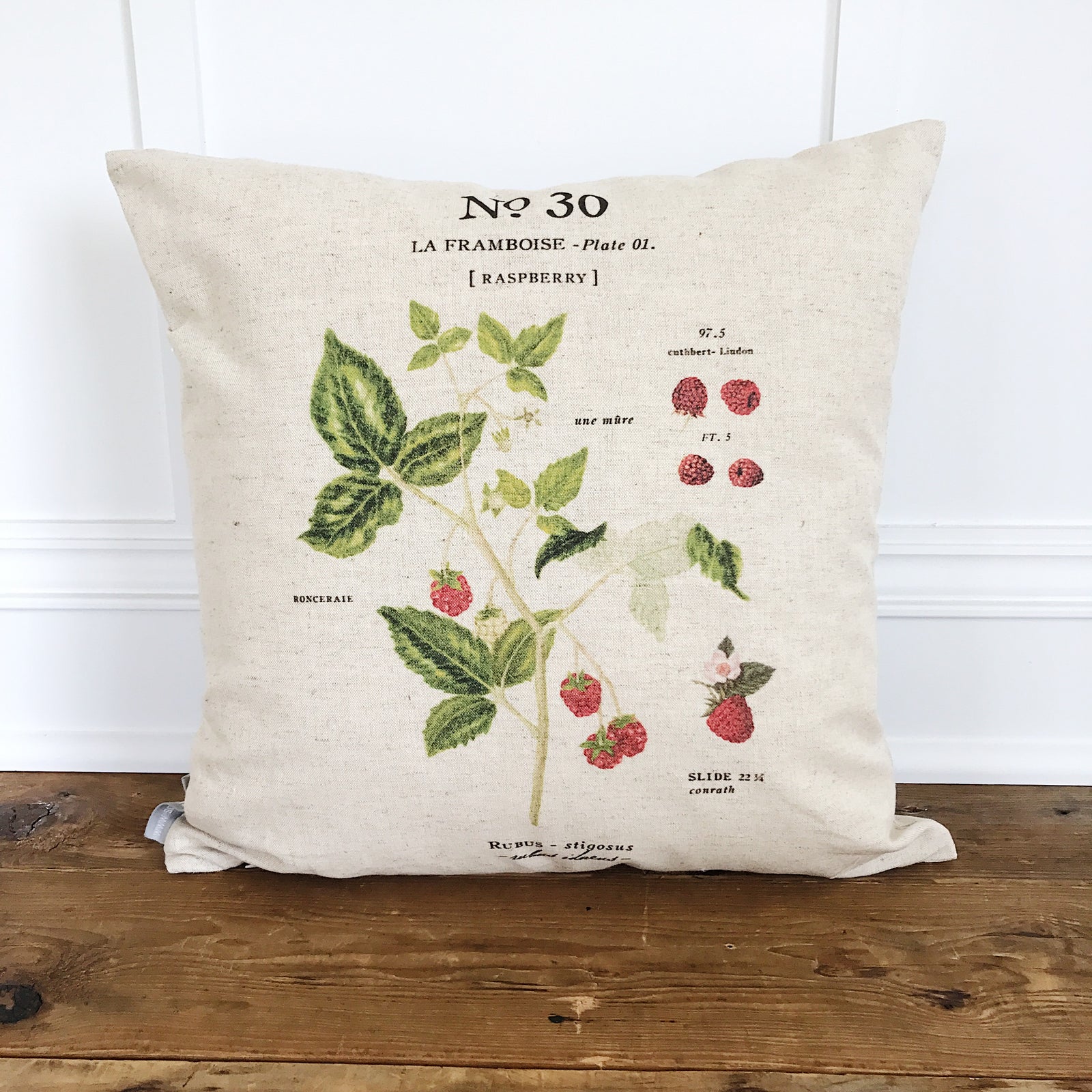 Raspberry Botanical Pillow Cover - Linen and Ivory