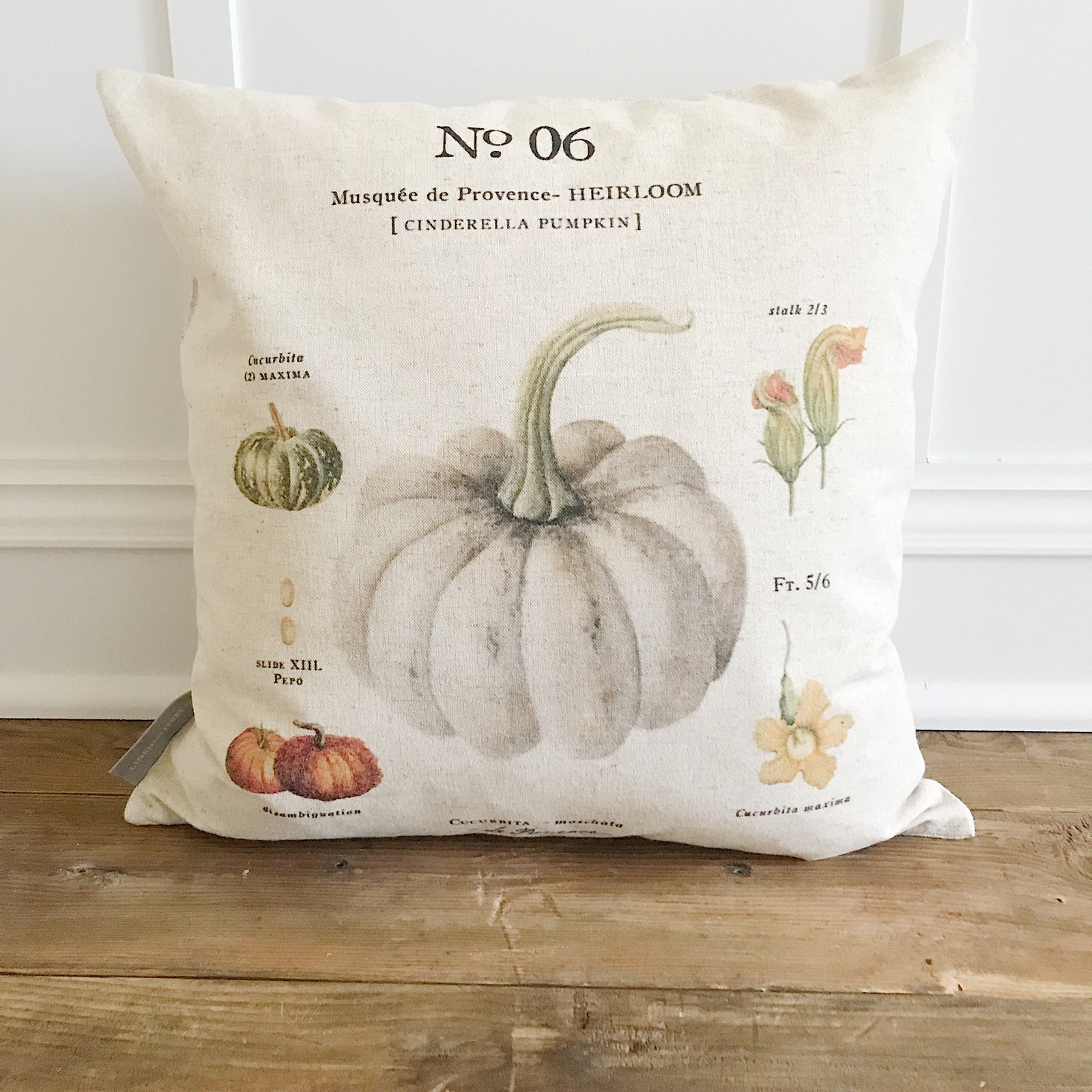 Cinderella Pumpkin Botanical Pillow Cover - Linen and Ivory